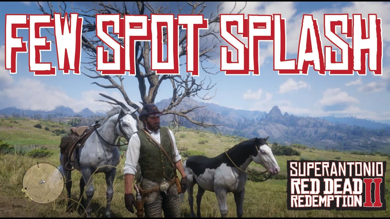 This Few Spotted Appaloosa Did Not Care For The New Splashed White American Paint