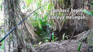 Ya tuhan,,,!Beruntung sekali pemancing liar kalau Nemu spot begini ikan nya ganas ganas #TR-174