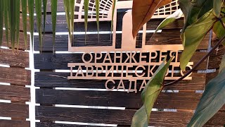 Оранжевая Таврического сада. Гостиный Двор. Санкт-Петербург.