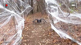 Police Find Missing Girl's Phone In Killer's Torture Forest