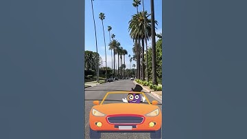 Ever Wonder What’s on Your Wine Label? Let’s Break It Down 🍷