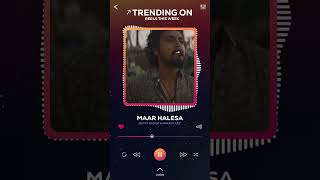 Samandar | Maar Halesa - Trending Song | Aditya Gadhvi, Nakash Aziz, | Kedar & Bhargav