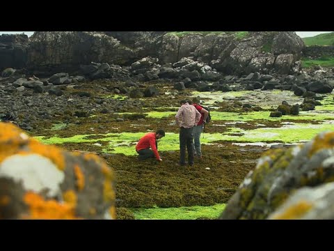 Video: Isle Of Skye: Mabwawa Mazuri Na Vivutio Vingine