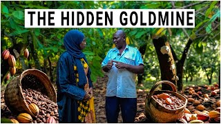 Travel vlog - The Untold Wealth in Cocoa Farming - Why Ugandans Are Cashing In!