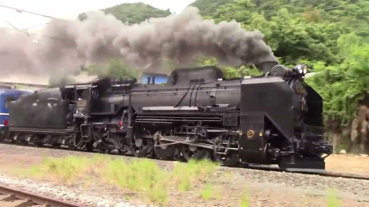 【2025年9月4日】JR東日本　D51 498【本線試運転】【上越線】【後閑駅〜上牧駅間で脱線事故】【バス代行輸送】