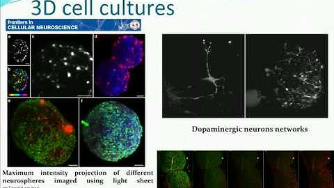 Open Spin Microscopy - When Size Matters from Bitplane