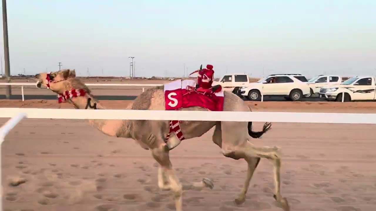 ش 4 قعدان حقايق اشقر ل جابر بن عبدالله الشمري