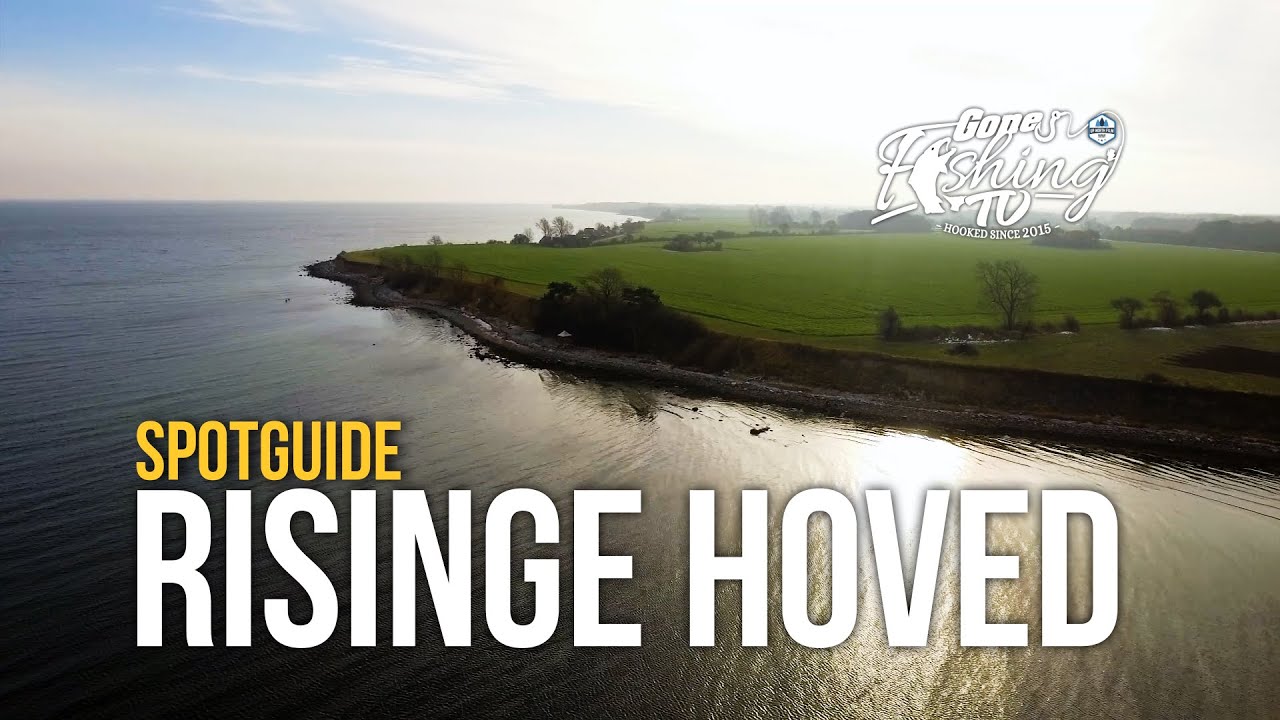 Spotguide: Risinge Hoved // Gone Fishing Fyn