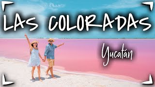 Las Coloradas YUCATAN y Rio Lagartos 🔴 GUIA COMPLETA ► Que hacer, precios, hospedaje 🟡 Vale la PENA?