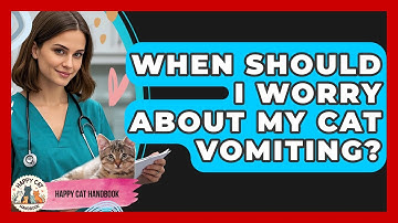 When Should I Worry About My Cat Vomiting? - Happy Cat Handbook