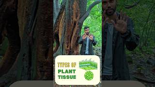 Types Of Tissue 🦠#shorts #science #biology #neet