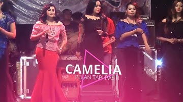 DENDANG CAMELIA   All Artis