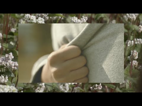 검은잎들-메신저 팬 MV