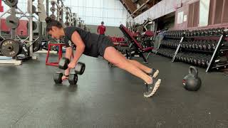 Pushup Position DB Row