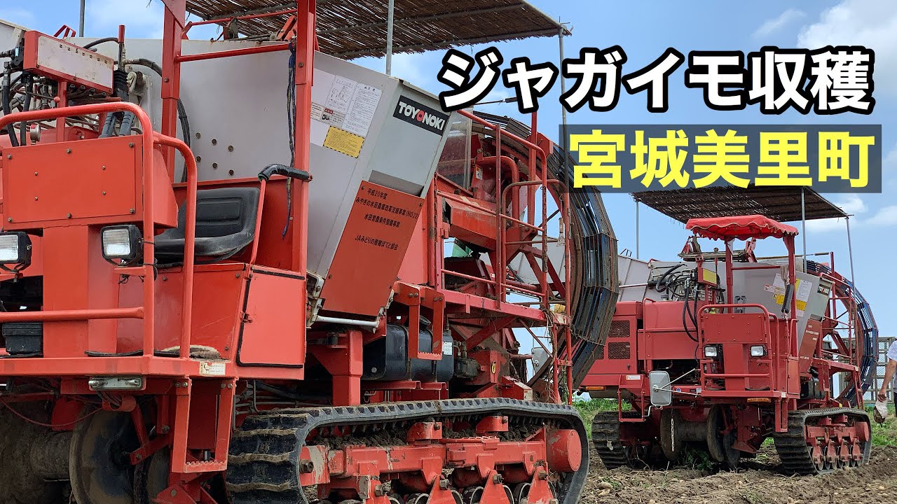 ジャガイモ収穫　ポテトハーベスター　宮城県美里町