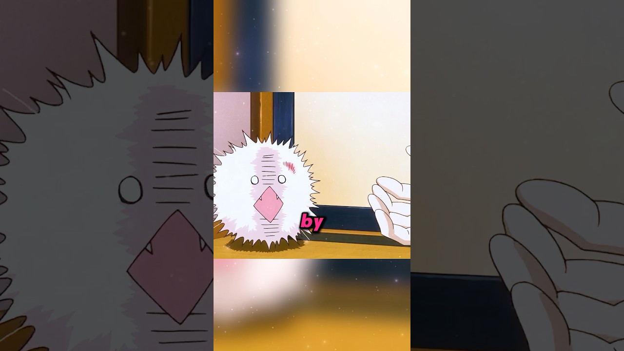 Natsume saves the furballs and soon many of them come to repay the favor. 