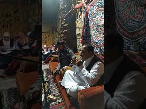 حفلات الواحات البحريه جنه الصحراء الغربيه