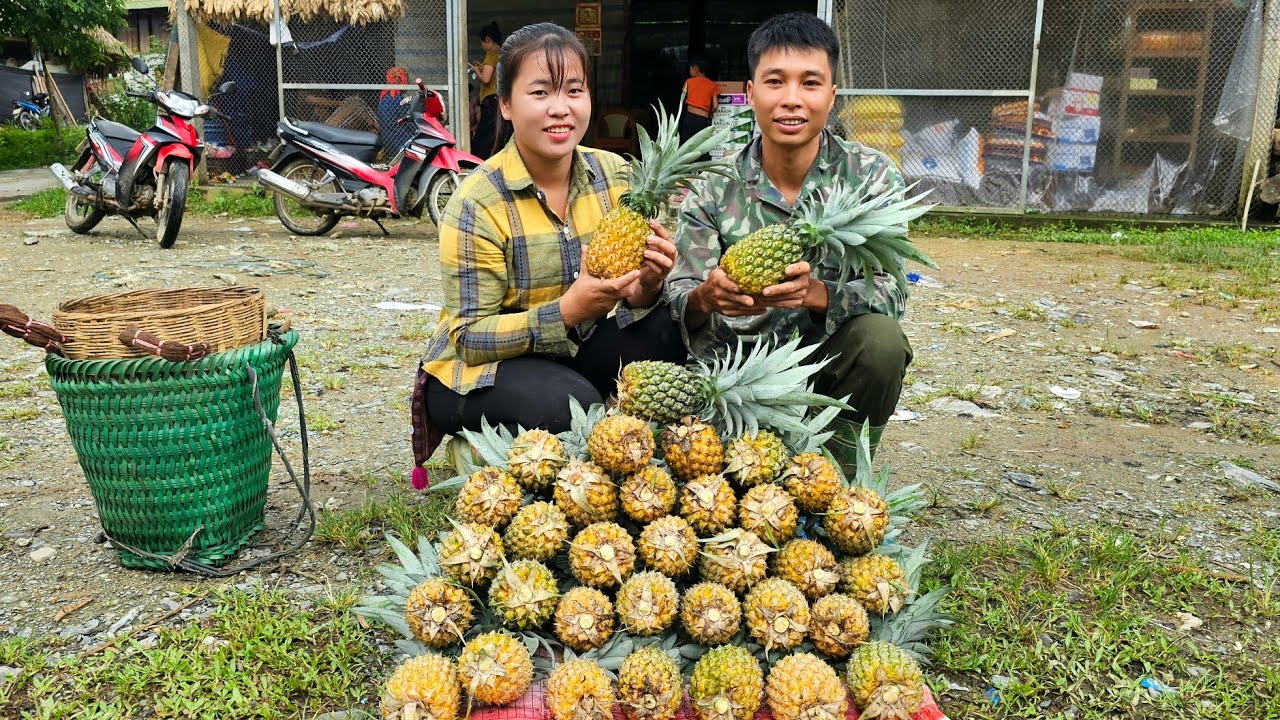 Сбор 40 кг очень крупных ананасов для продажи на сельском рынке. Жизнь пары.