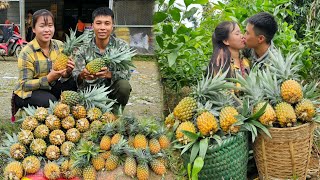 картинка: Сбор 40 кг очень крупных ананасов для продажи на сельском рынке. Жизнь пары.