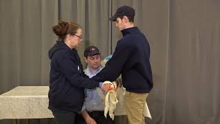 Long Bone Injury Immobilization