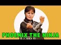 Wu Tang Collection Phoenix The Ninja Aka Miraculous Flower Wu Tang Collection Phoenix The Ninja Aka Miraculous Flower