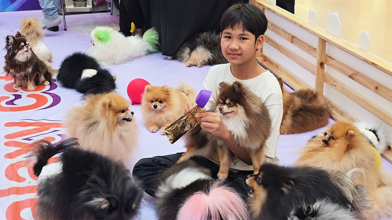 ซื้อรองเท้าวิ่ง นั่งรถไฟ เล่นกับน้องหมา เซ็นทรัลนครปฐม | น้องบีม