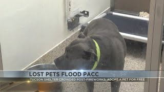 Lost pets flood Tucson shelter post-July 4th fireworks