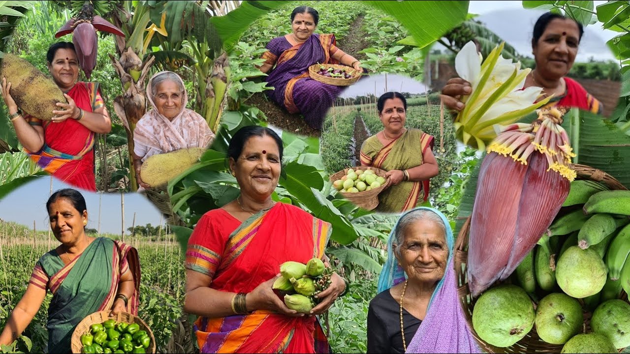 आजी आणि काकूंचा फुलवलेला  २५-३० प्रकारच्या भाजीपाला आणि फळबागांचा मळा | Gavran ek khari chav