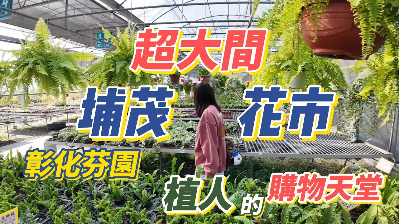 彰化芬園-埔茂花市-離南投最近的大型植物市場，還有設餐廳和兒童遊戲區！