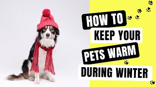 How to Keep Your Pets Warm During Winter by Pawsitive Pets 52 views 1 year ago 8 minutes, 3 seconds