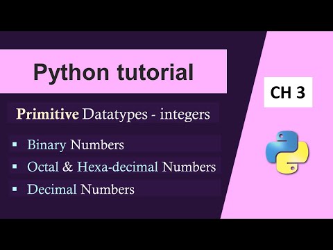 Python Basics For Beginners|Python Integer Datatype|Integer Datatype in Python