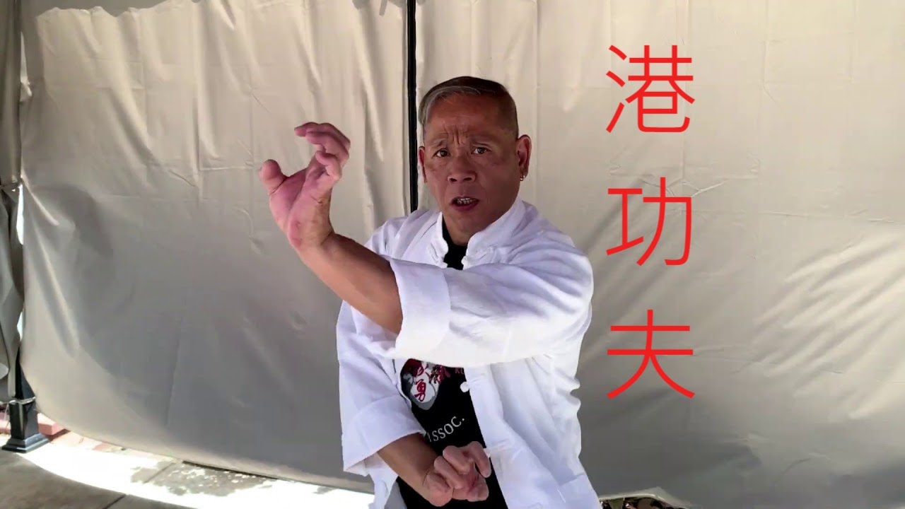 港功夫 劉家勇 | hong kong Kung Fu Talk with Kar Yung Lau | 洪拳散手 hung gar kung fu
