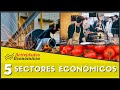 Los 5 sectores económicos -Economía (Ejemplos y características)