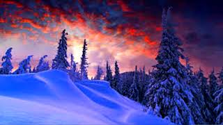 Amadeus - Aurora