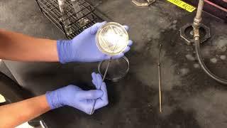 Exercise 8 - The Imvic Tests