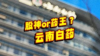 认识一家公司 | 云南白药