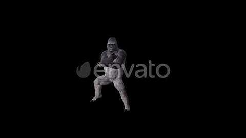 Gorilla 4K Gangnam Dance | Motion Graphics - Envato elements