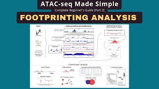 ATAC-seq Footprinting: Detect TF Binding Sites with TOBIAS Tutorial
