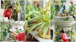 Balcony Deep Cleaning Vlog Cleaning Of My Balcony Garden