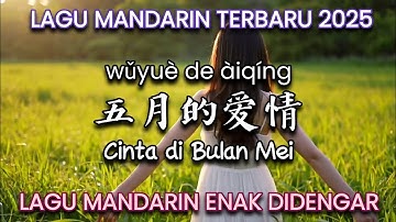 Wuyue De Aiqing 五月的爱情 | Lagu Mandarin Terbaru 2025 | Lagu Mandarin Enak Didengar