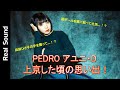 【段ボールを窓に貼って1カ月生活!?】PEDRO アユニ・Dが語る「上京した頃の思い出!」