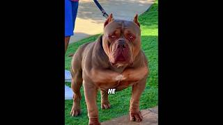 He is pure MUSCLE... 🤯