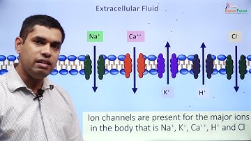GP 3: Membrane Transport: Ion channels part 1