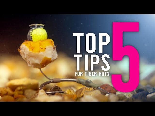 TOP 5 TIGER NUT TIPS For Catching More Carp! (Including 2 Carp Rigs)  Mainline Baits Carp Fishing TV 