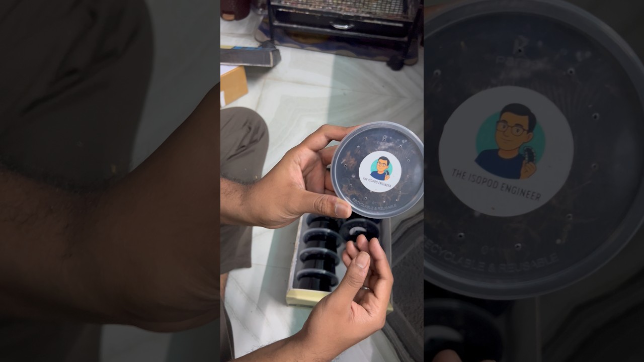 Sold all my snails 📦100+200 orders & new shipping stickers