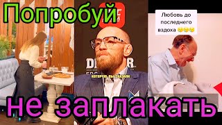 Попробуй НЕ ЗАПЛАКАТЬ! Самые Трогательные Моменты, Снятые На Камеру / Лучшее