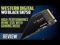 Review: WD Black SN750 NMVe SSD