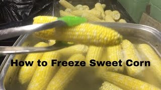 How to Freeze Sweet Corn and why you should do it in August