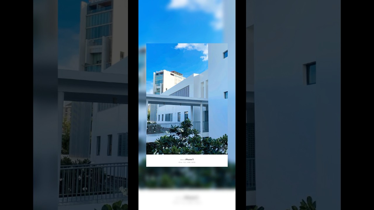 Vibrant Bloom - Shot on iPhone 