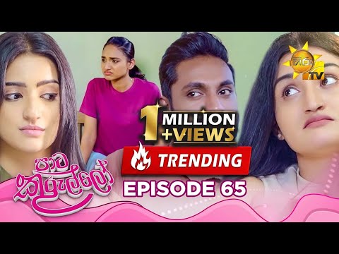 Paata Kurullo - පාට කුරුල්ලෝ | Episode 65 | 2024-08-08 | Hiru TV
